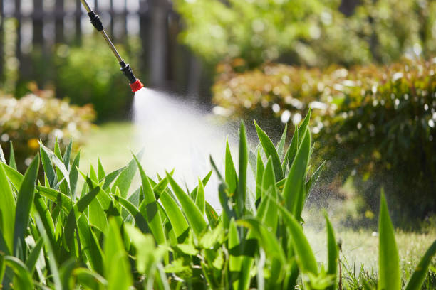 24/7 Emergency Mosquito Control experts in Monticello, KY